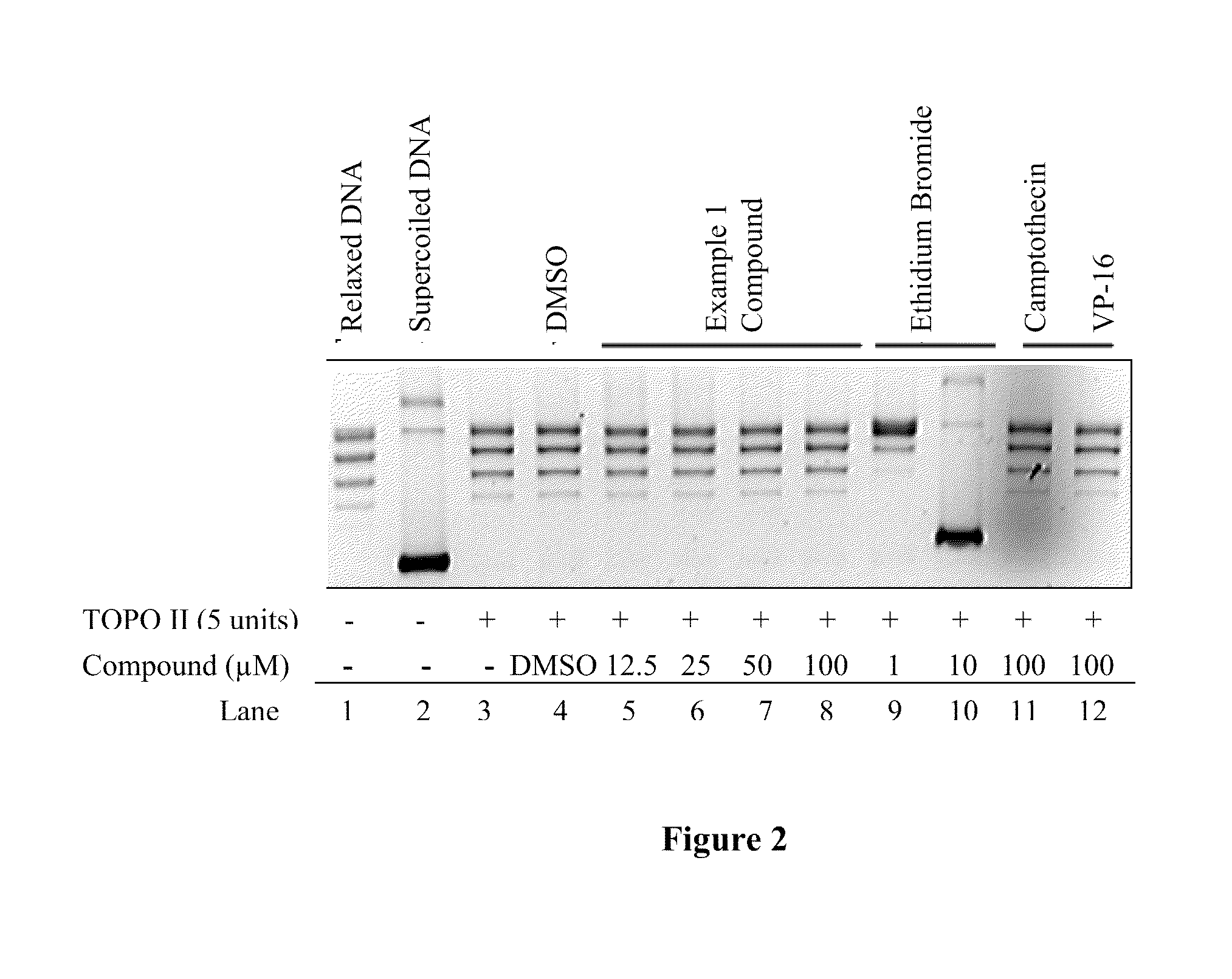 Compounds and therapeutical use thereof