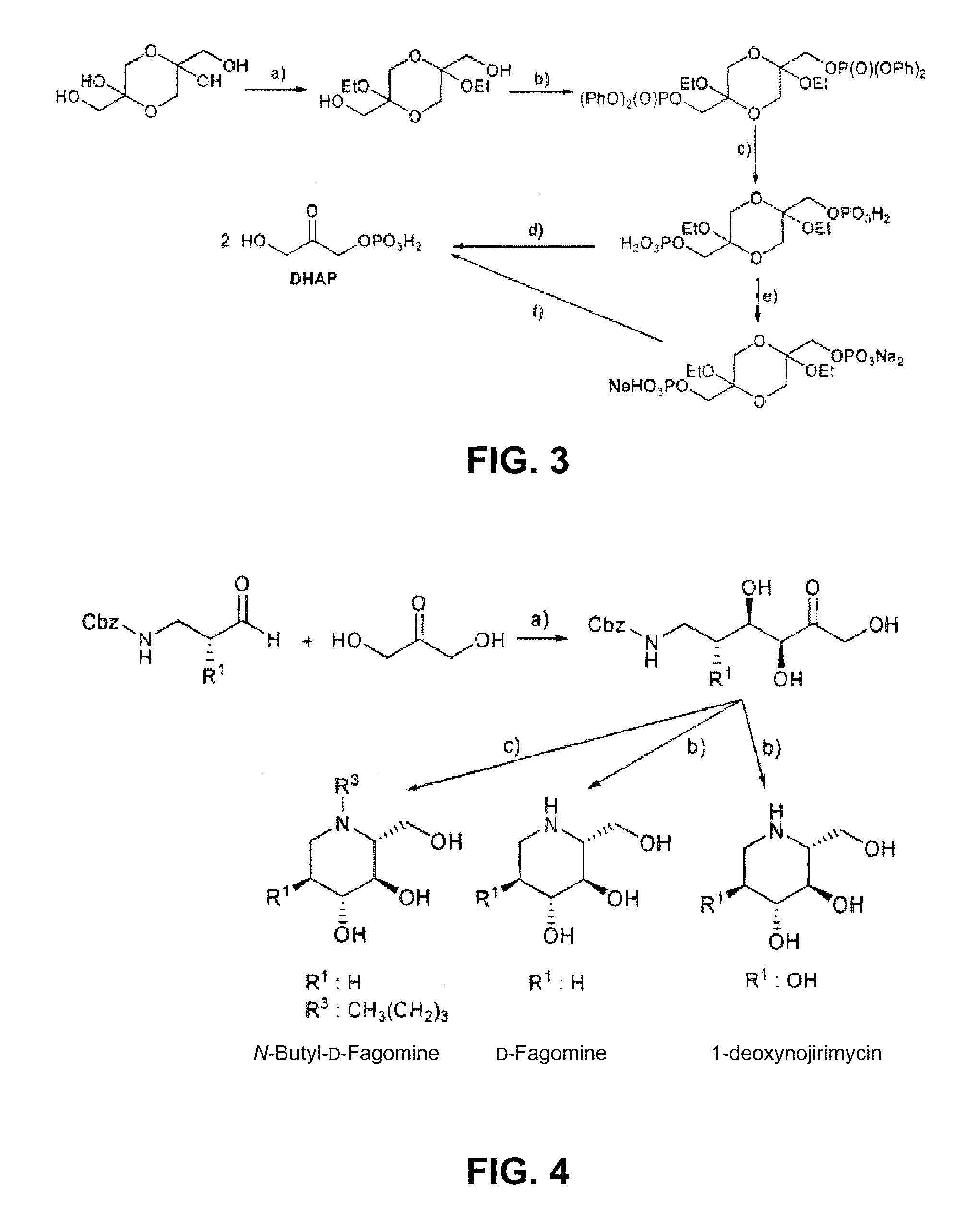 Chemoenzymatic process for the preparation of iminocyclitols