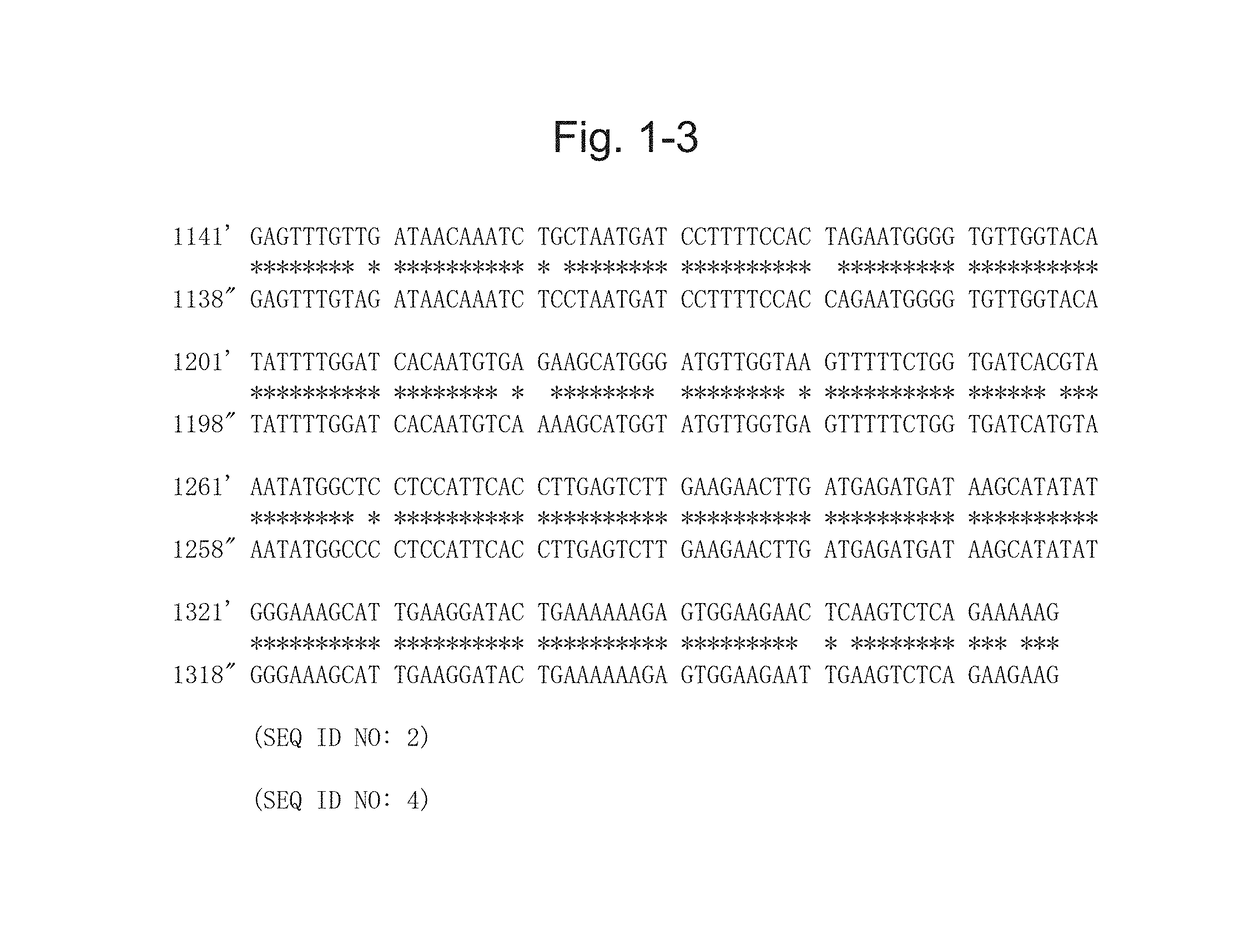 Protein having glycoalkaloid biosynthetic enzyme activity and gene encoding the same