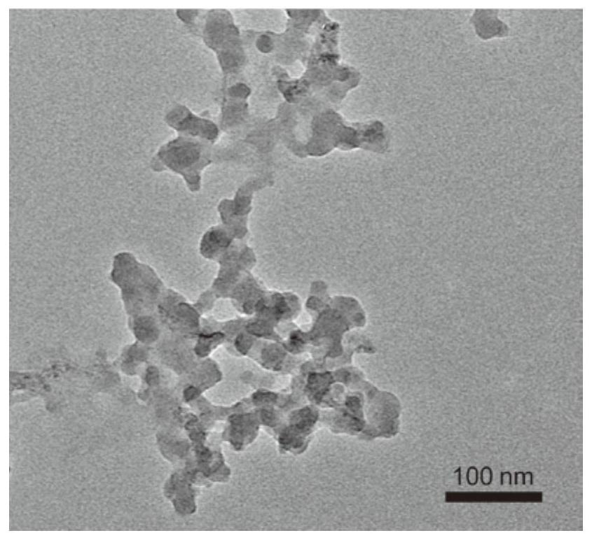 A kind of Prussian blue nanoparticle targeting Aβ senile plaque and preparation method thereof