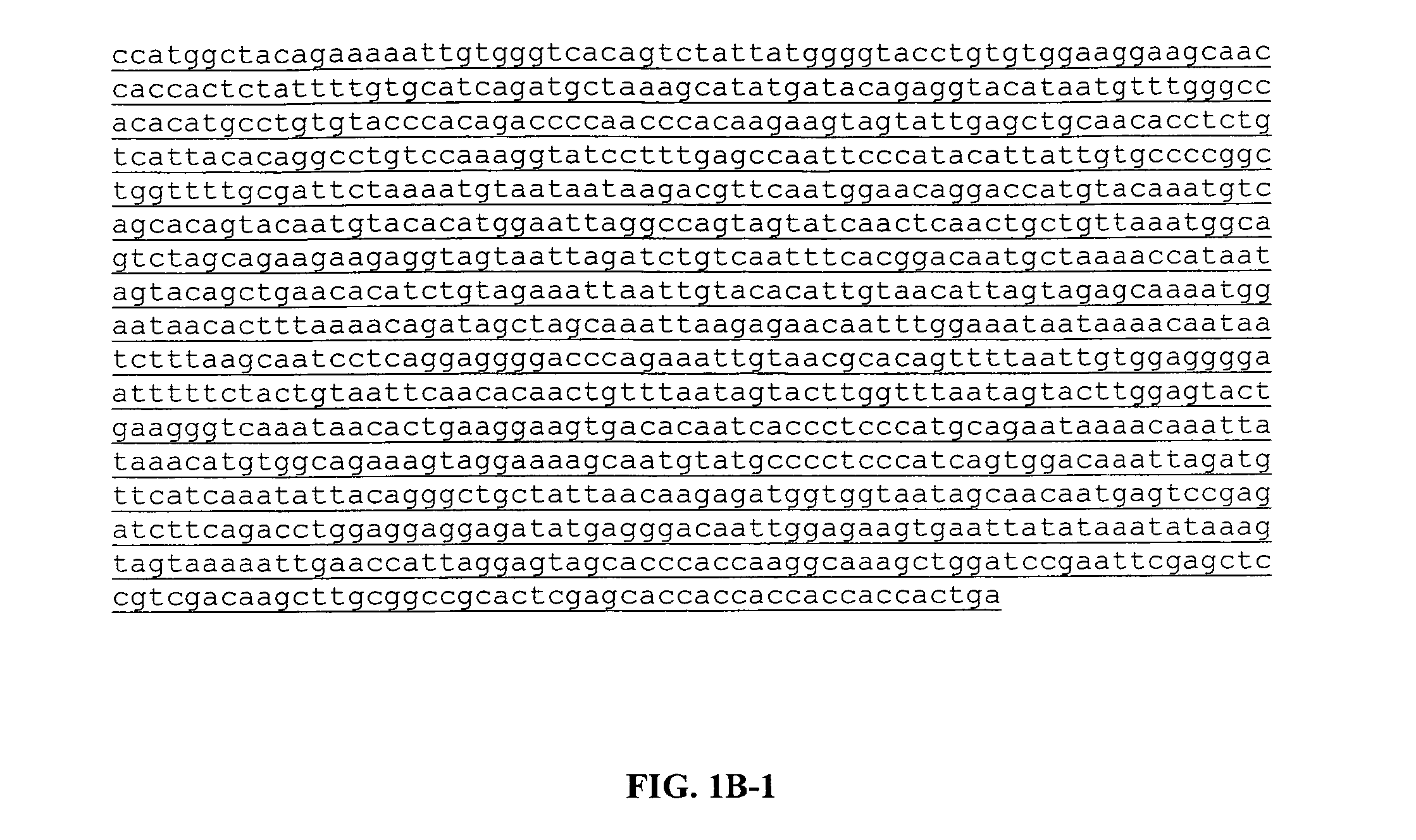 Method for producing catalytic antibodies (variants), antigens for immunization and nucleotide sequence