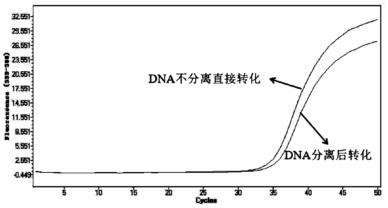 Gene methylation analysis method and product and application