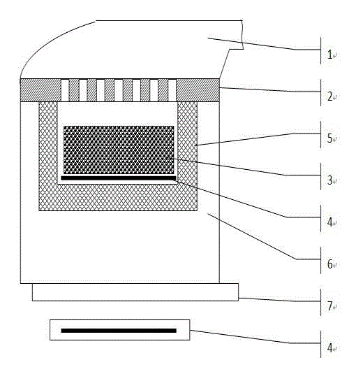 Microwave continuous freeze-drying device