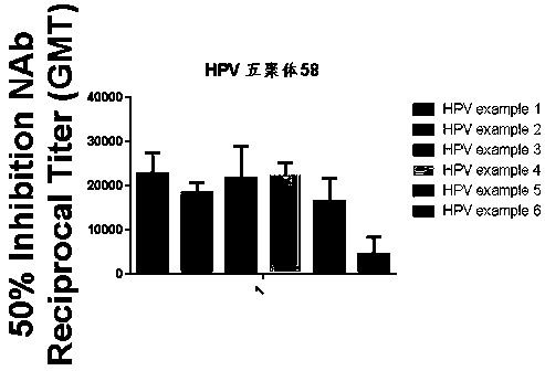 VLP vaccine of recombinant HPV-58 L1 and preparation method thereof