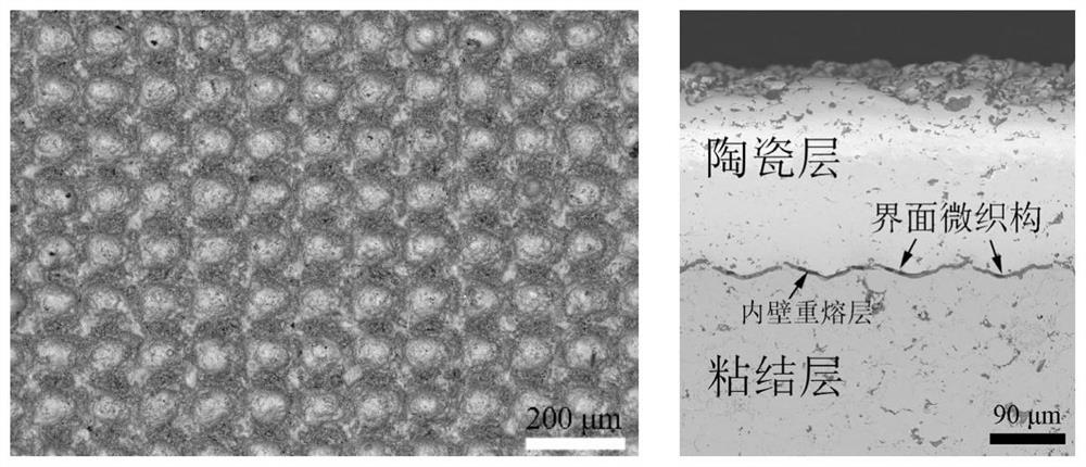 Laser micro-texture modified thermal barrier coating for delaying interface TGO growth and preparation process of laser micro-texture modified thermal barrier coating