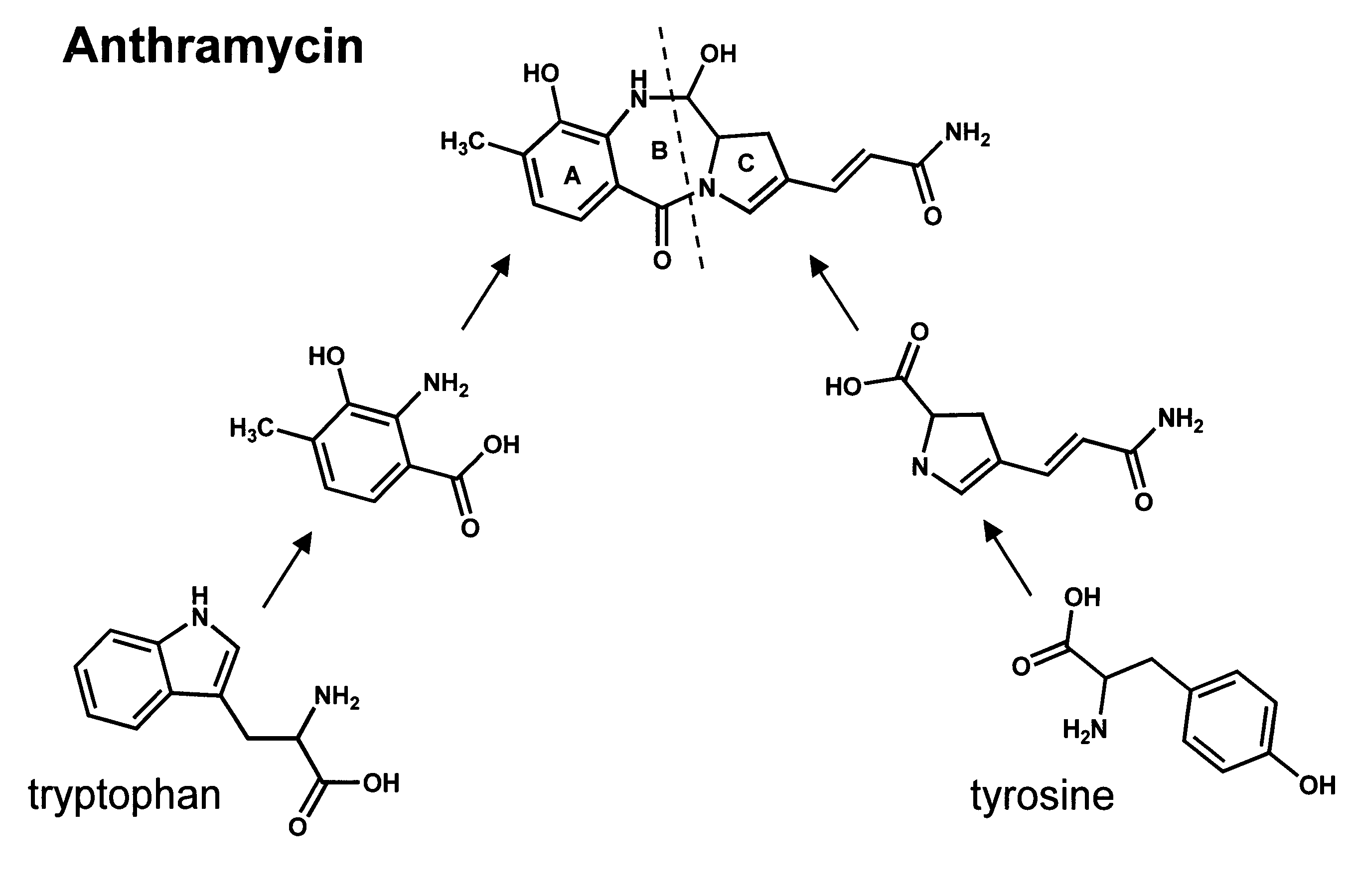 Nucleic acid fragment encoding an NRPS for the biosynthesis of anthramycin