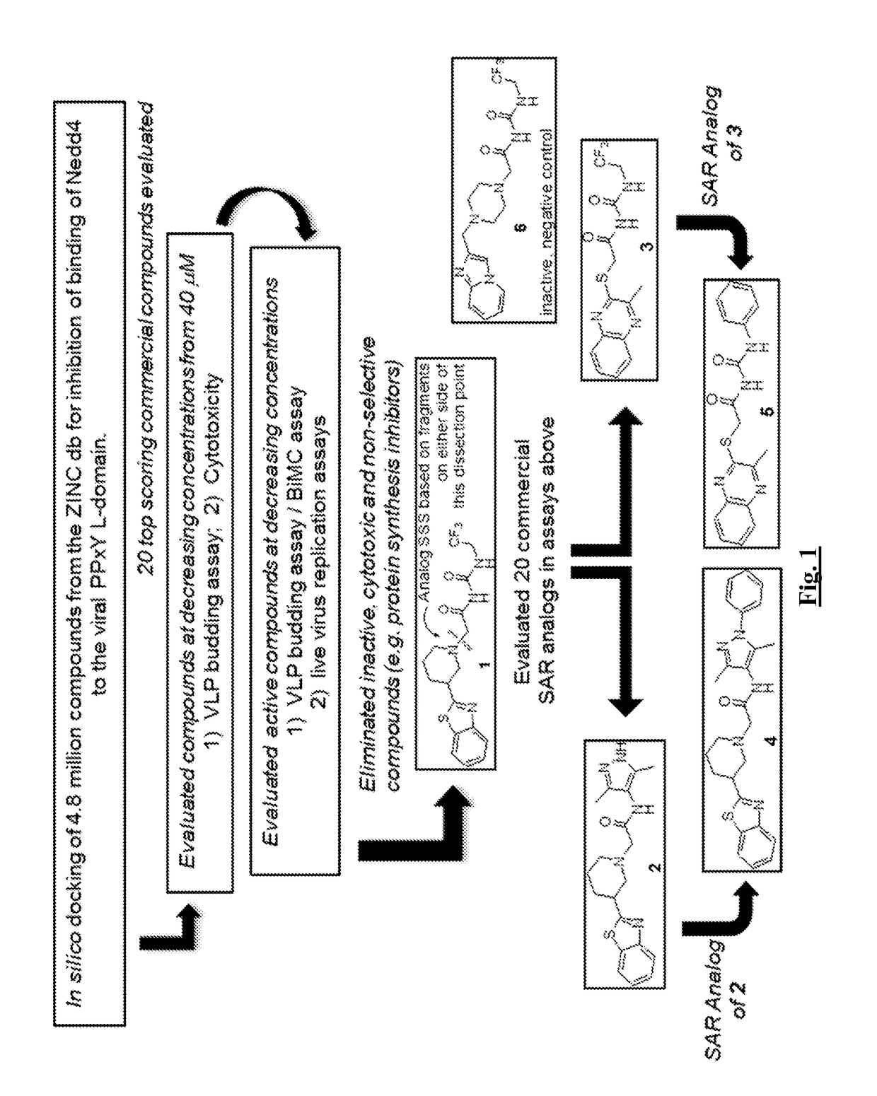 Novel antiviral compounds and methods using same