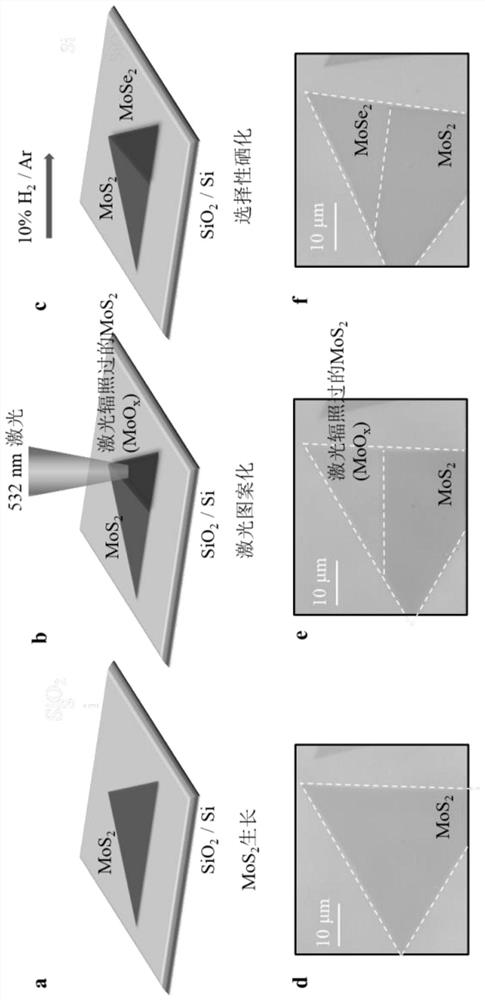 Method for preparing two-dimensional transverse heterojunction on transition metal chalcogenide matrix based on selective reaction