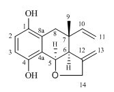 Hydroquinone compound with anti-HCV (Hepatitis C Virus) activity and preparation method thereof
