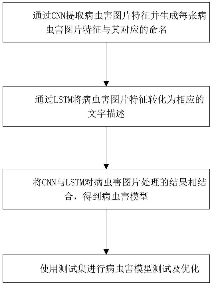 Intelligent pest and disease identification method and system based on CNN and LSTM