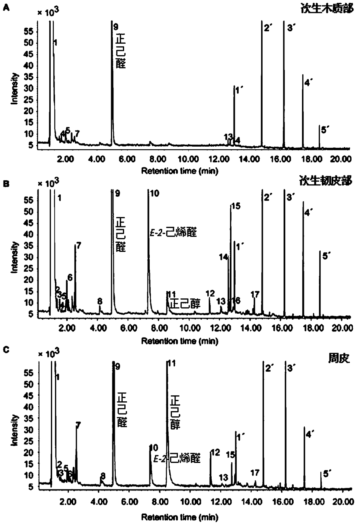 Growth promotion endophytes for astragalus membranaceus and growth promotion method and application thereof