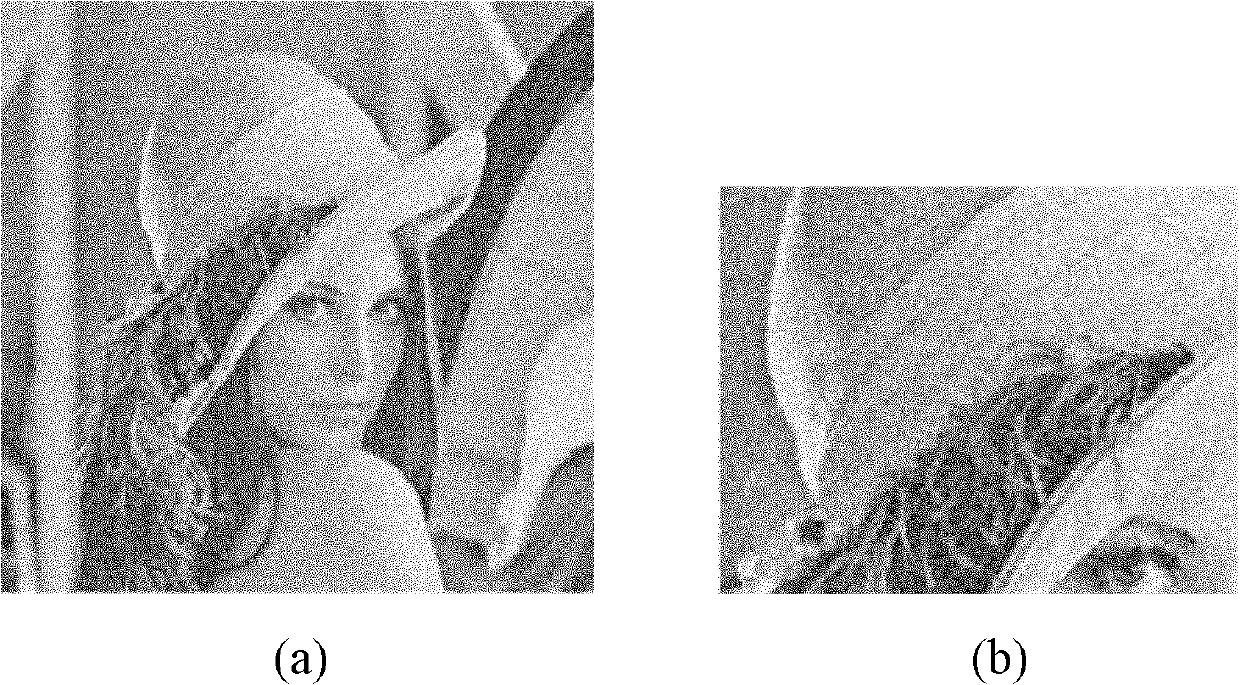 Natural image noise removal method based on dual redundant dictionary learning