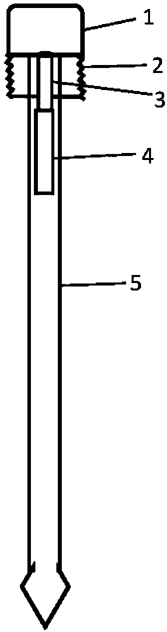 Multifunctional sampling detection rod used for saliva and DNA (deoxyribonucleic acid) sample collection and alcohol detection