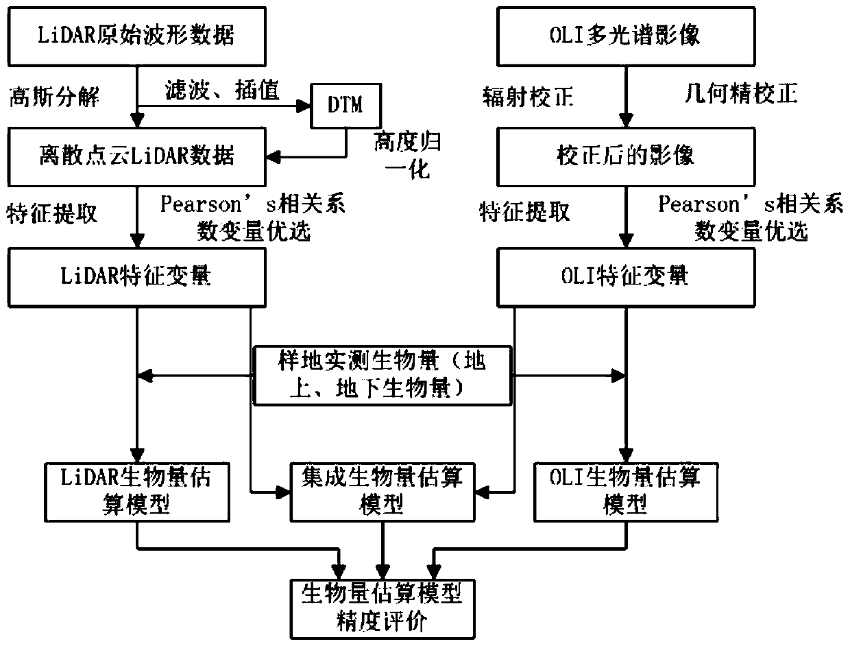 A Method of Remote Sensing Forest Biomass Retrieval