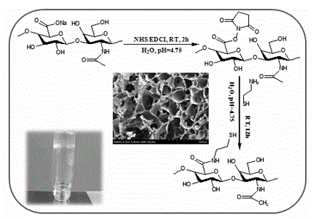 Preparation method and application of sulfhydryl/disulfide bond controllable self-crosslinked hyaluronic acid hydrogel