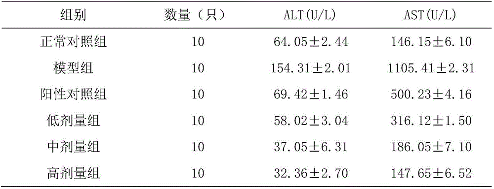 Enzyme composition with liver-protecting function, as well as preparation and preparation method thereof