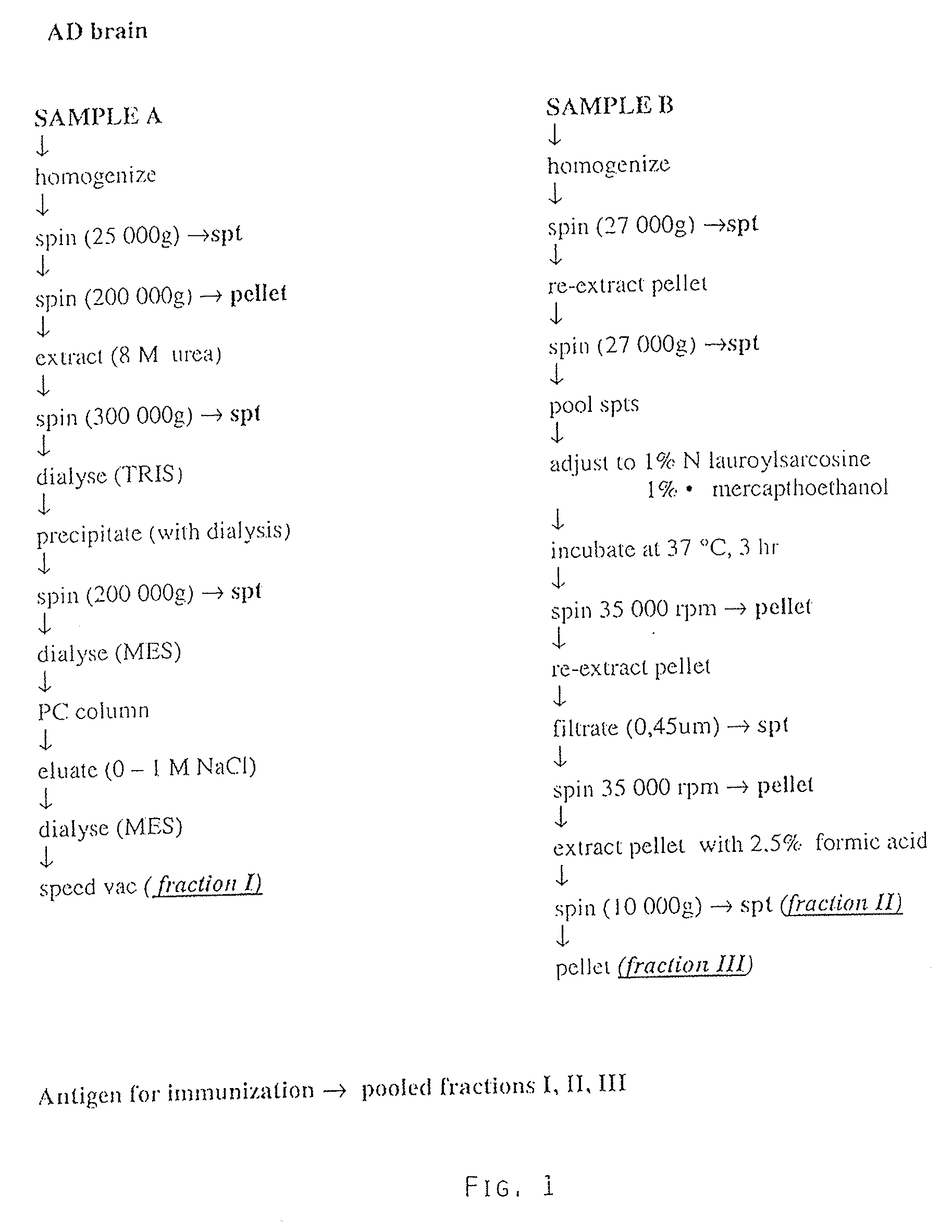 Conformationally abnormal forms of tau proteins and specific antibodies thereto