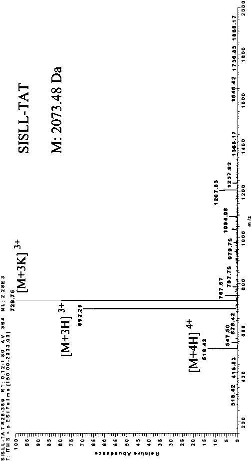 Antimicrobial fusion peptide as well as preparation method and application thereof