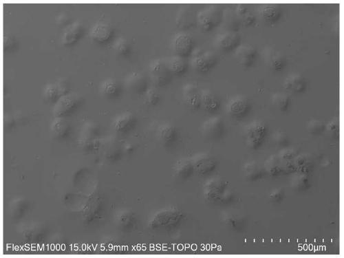 Material with bionic hydrophobic-hydrophilic surface and preparation method and application of material