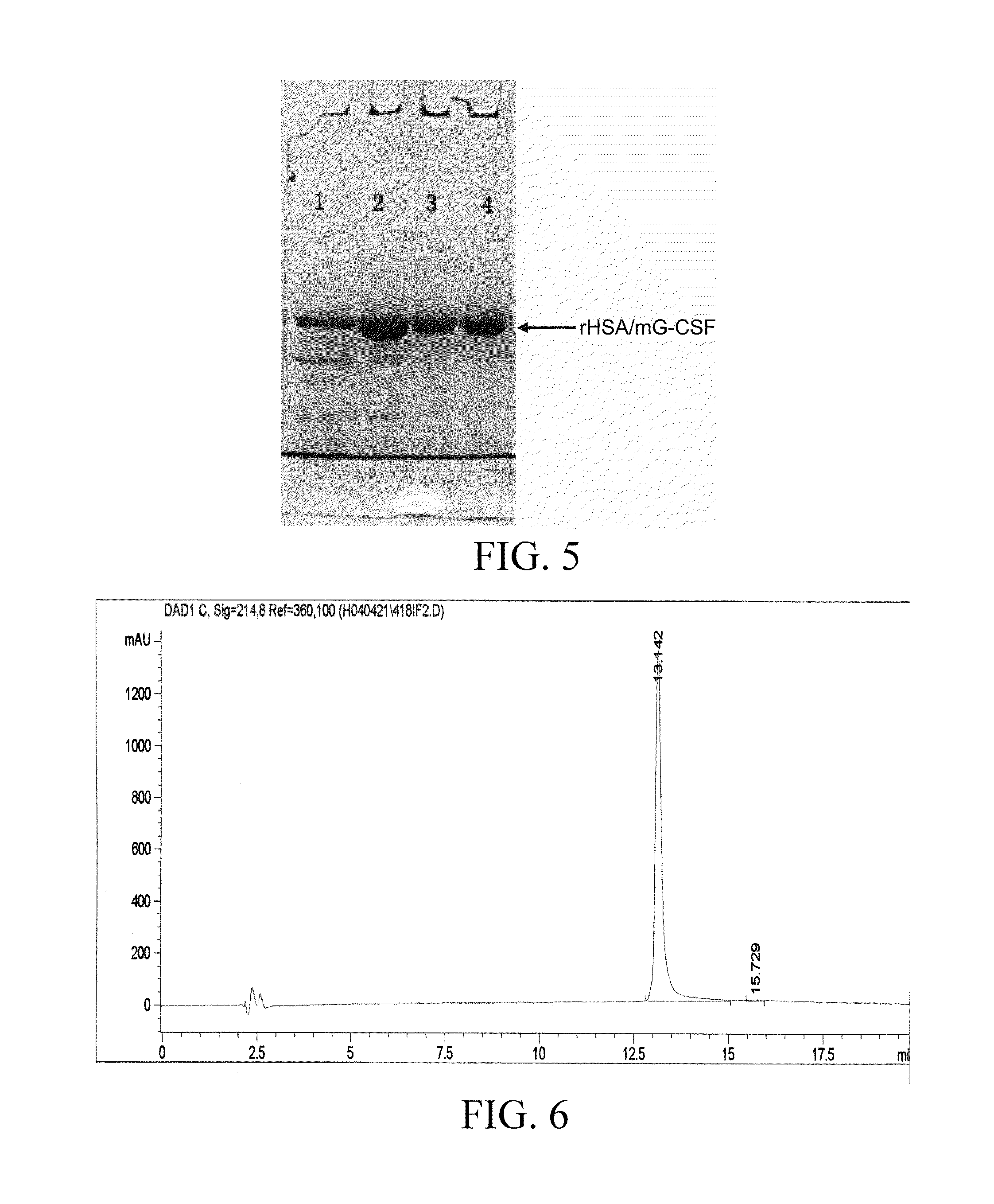 Mutant G-CSF fusion protein, and preparation and use thereof