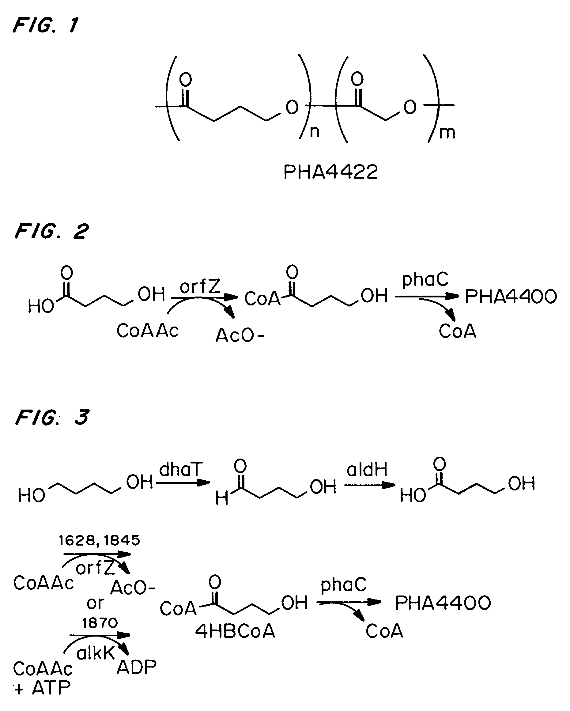 Bioabsorbable polymer containing 2-hydroxyacid monomers