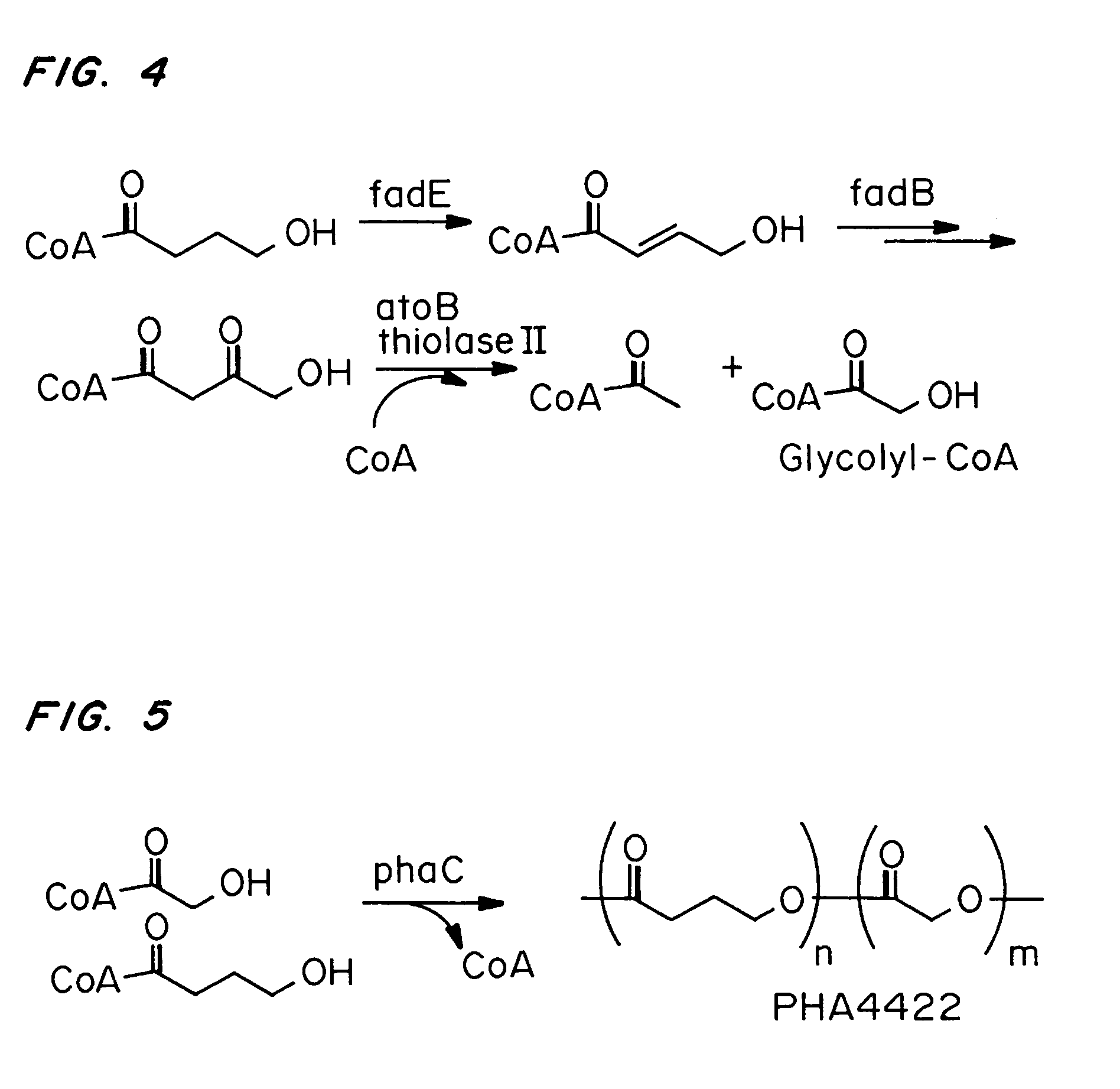 Bioabsorbable polymer containing 2-hydroxyacid monomers