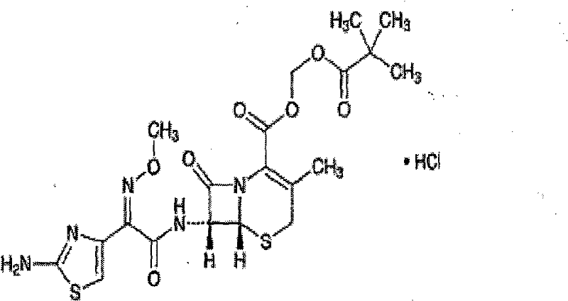 Cefetamet pivoxil hydrochloride liposome solid preparation