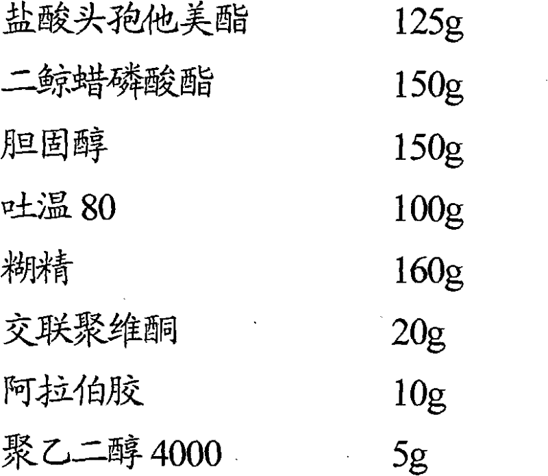 Cefetamet pivoxil hydrochloride liposome solid preparation