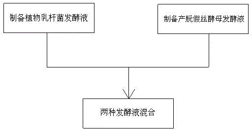 Preparation method for microbial garbage deodorizer