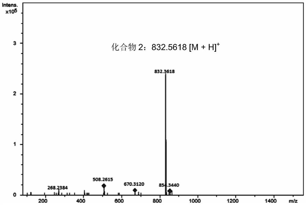 A group of epothilone b glucoside compounds and their enzymatic preparation and application