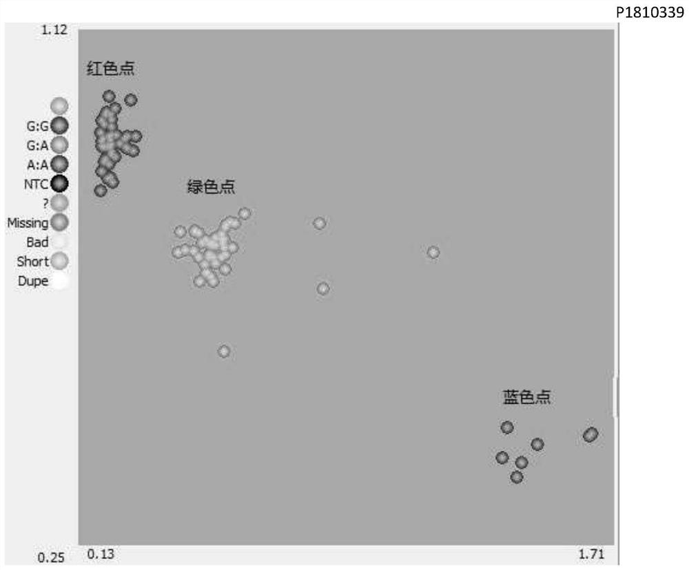 A Molecular Marker Related to Sheep Feed Conversion Rate and Its Application