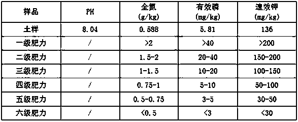 Nutrient soil establishment and construction technology for ecological restoration of gangue dump