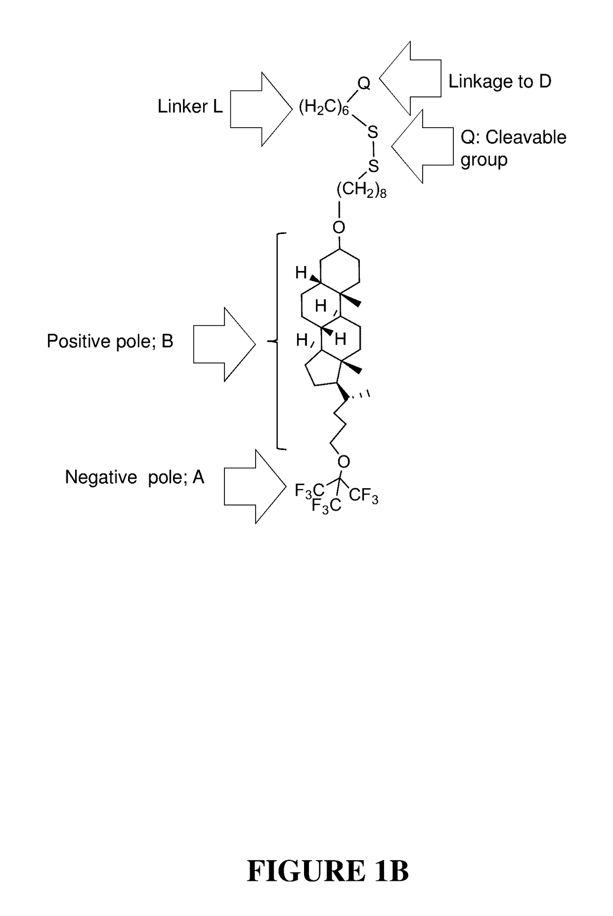 Compounds and methods for trans-membrane delivery of molecules