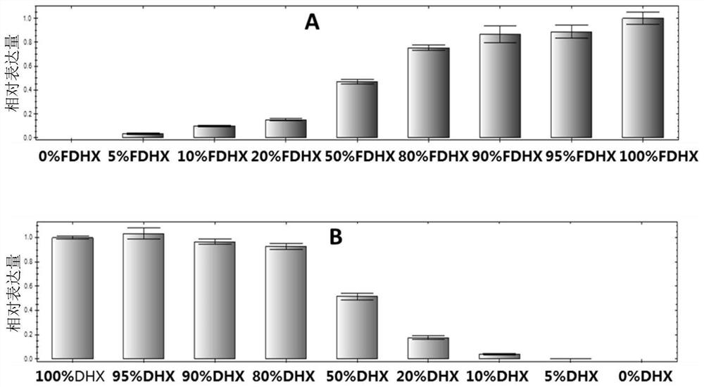 Rice SNP (Single Nucleotide Polymorphism) marker and application thereof