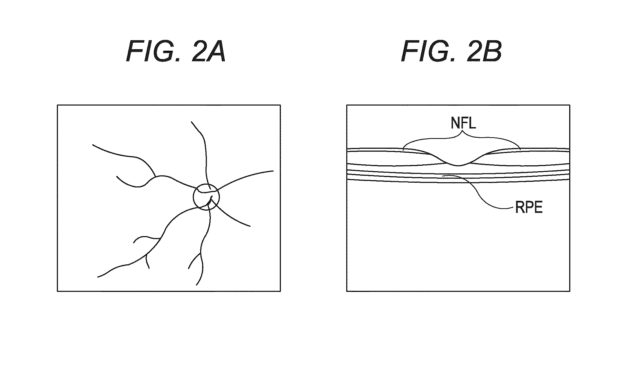 Apparatus and method for generating two-dimensional image of object using optical coherence tomography (OCT) optical system