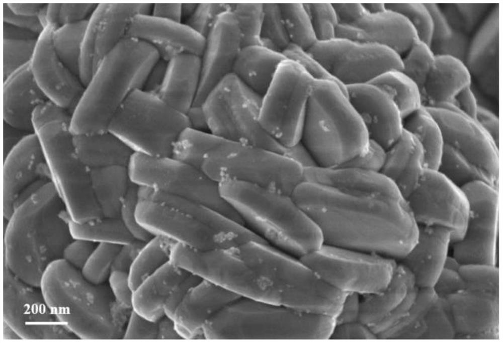 Preparation method and application of precursor cobalt hydroxide