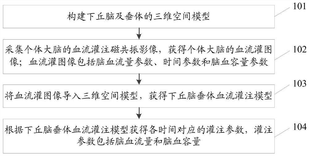 Acquisition method and system for blood perfusion of hypothalamus and pituitary