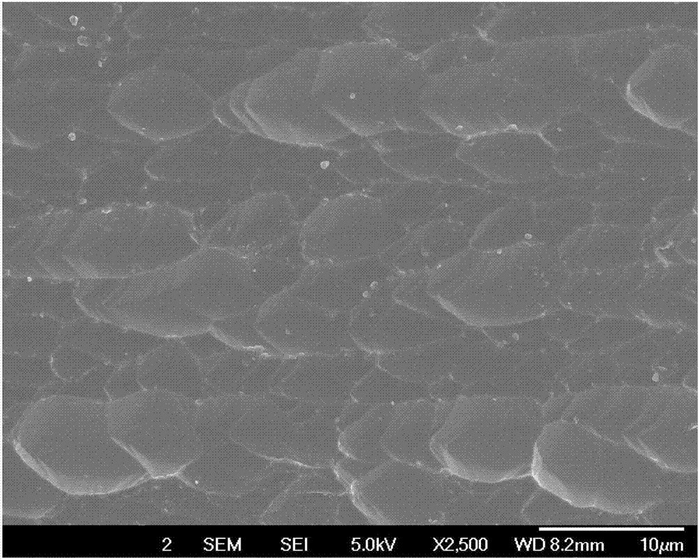 Texturing method for diamond wire-cut polycrystalline silicon wafers