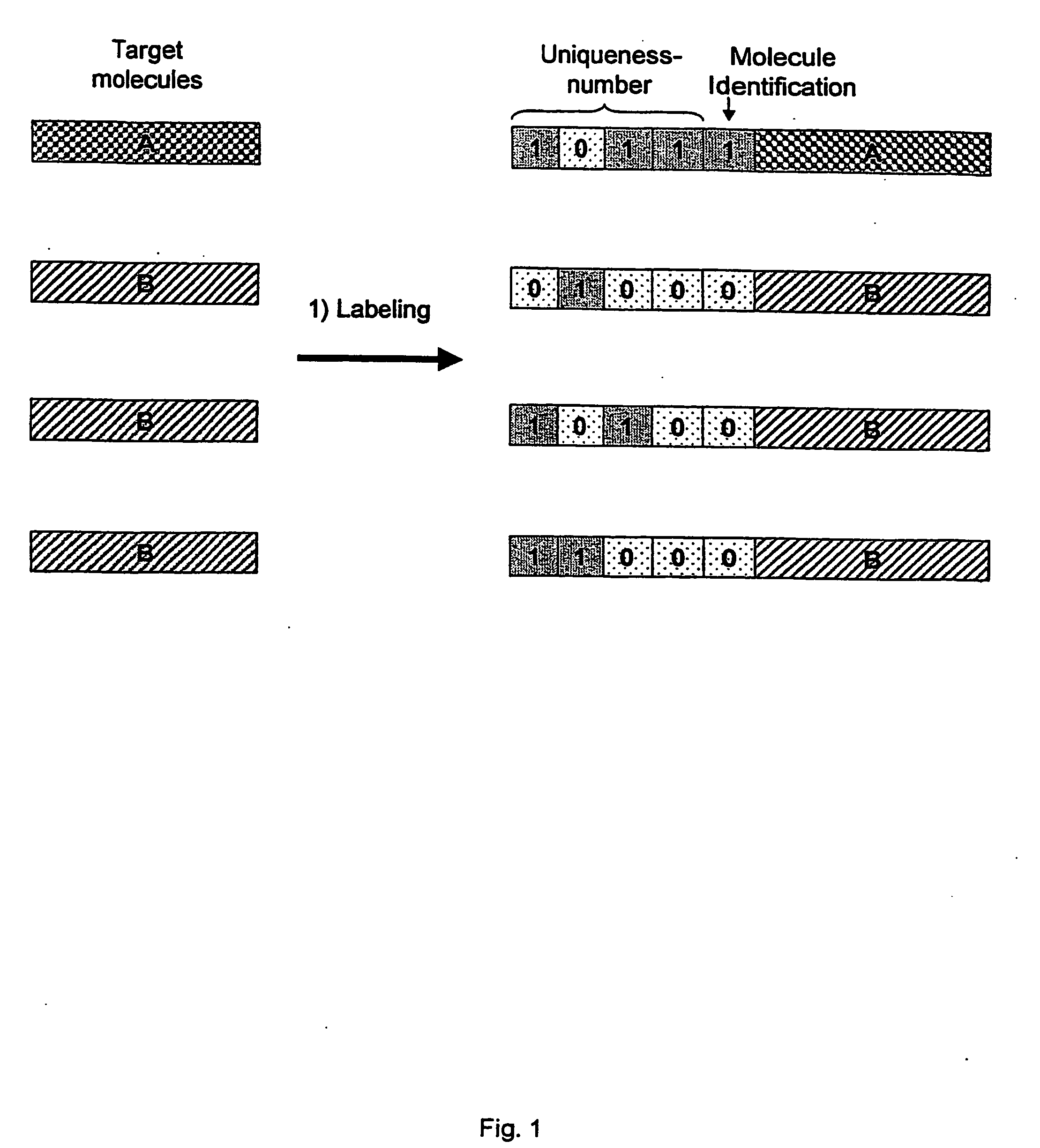 Polynucleotide Ligation Reactions