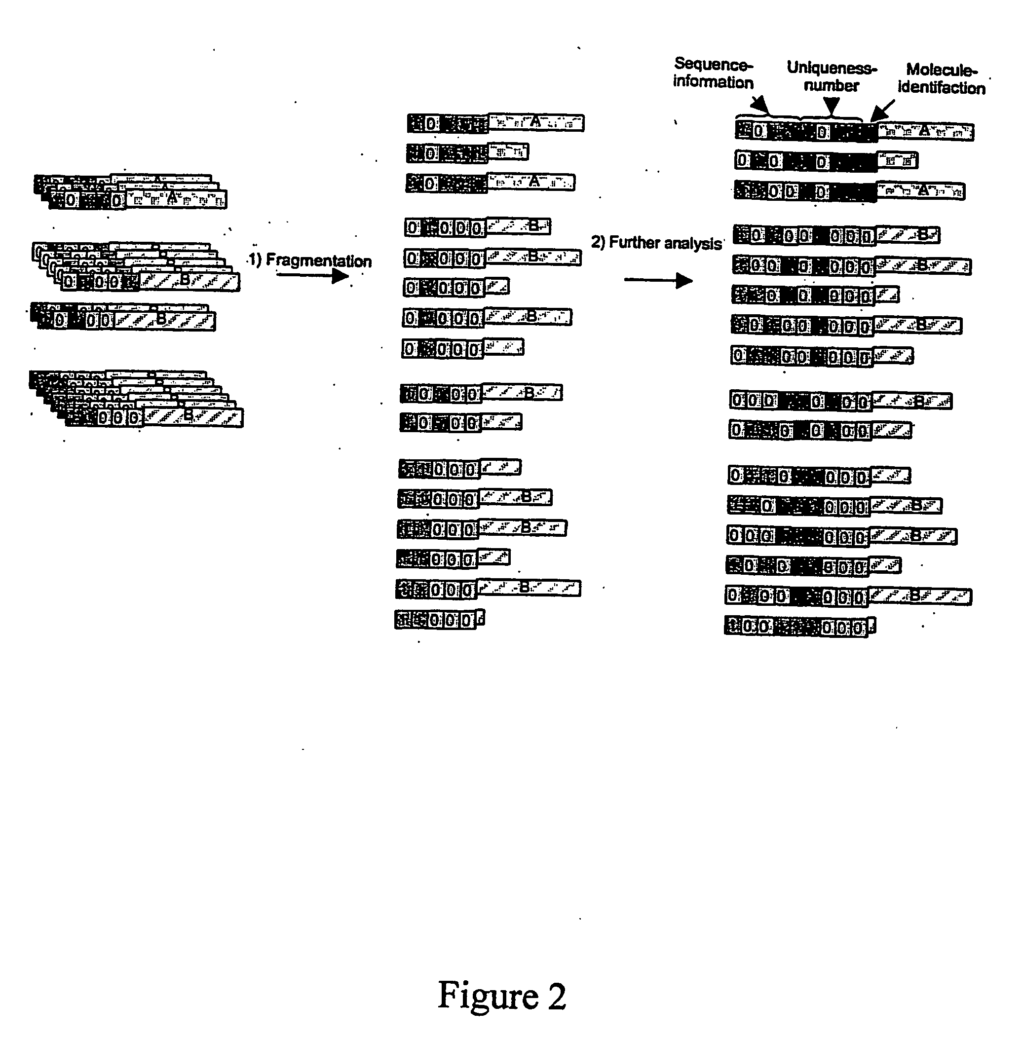 Polynucleotide Ligation Reactions