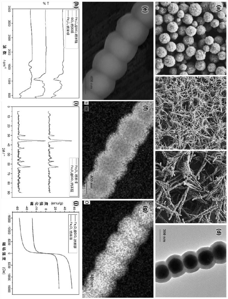 Multifunctional magnetic control nano chain with biological catalysis effect