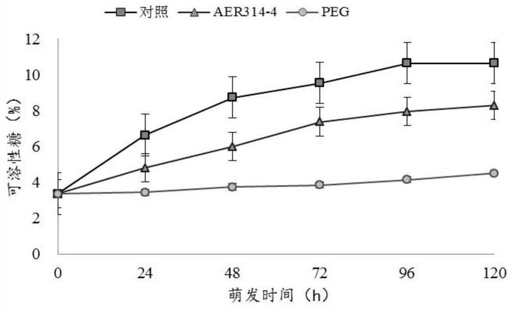 A kind of symbiotic anti-drought endophyte for promoting seed germination and its application