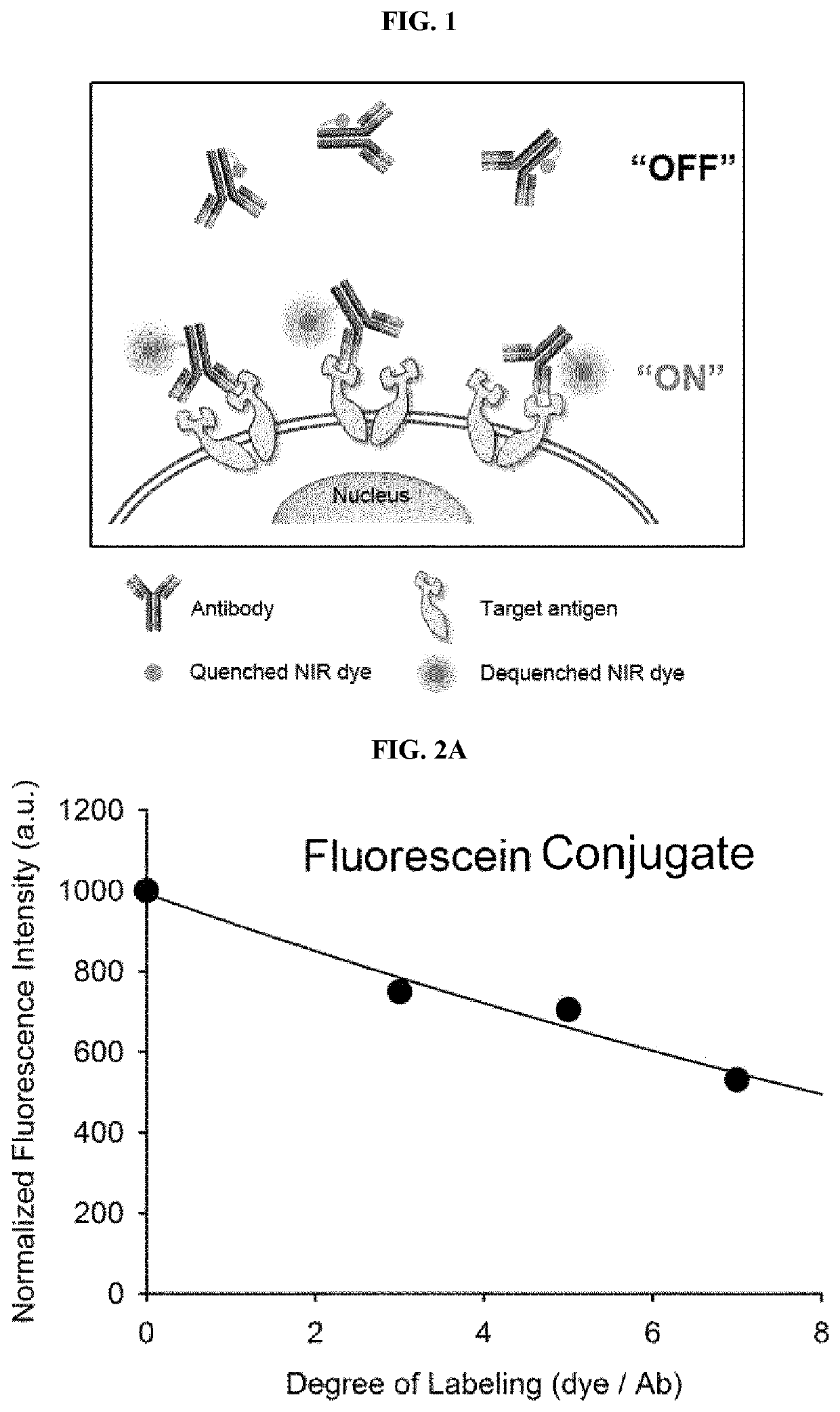 Antigen responsive antibody-fluorescent dye conjugate and method for fluorescence detection and imaging of target cell using the same