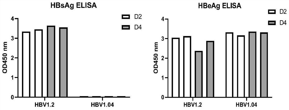 A kind of establishment method and application of aav-hbv recombinant virus and hepatitis B virus mouse model based on s gene break