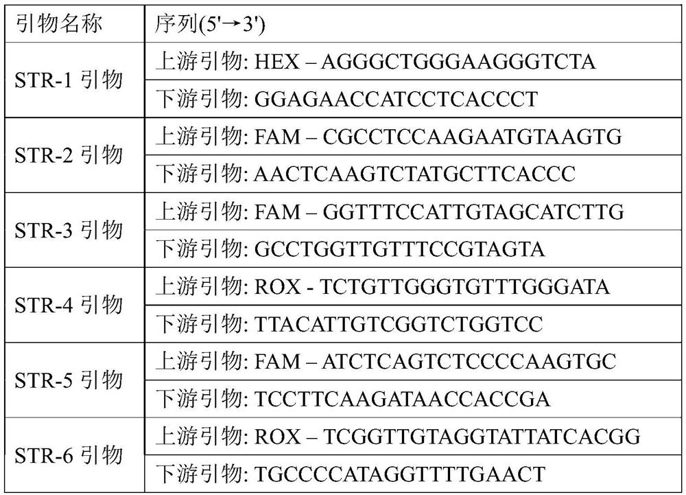 A colon adenocarcinoma susceptibility prediction kit and system