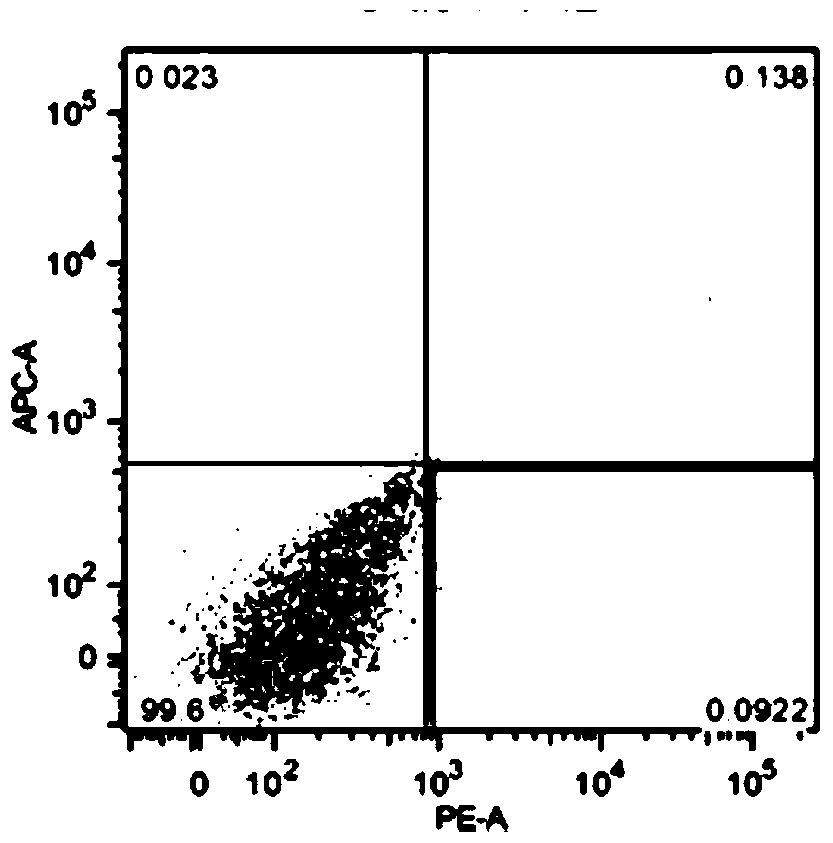 Culture method of vascular endothelial cell progenitor cells