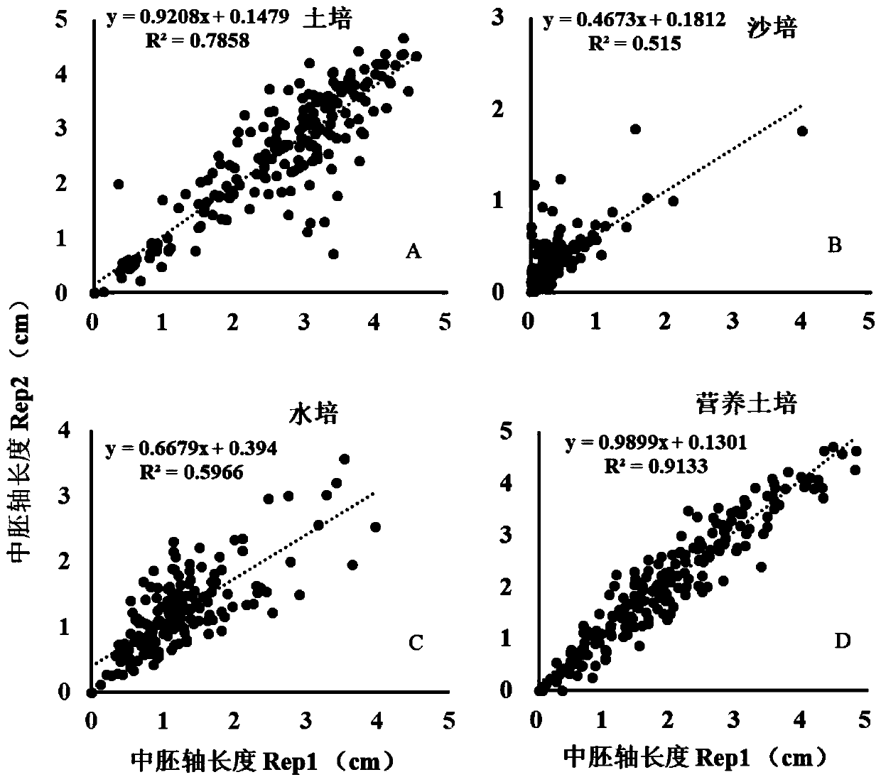 Identification method for mesocotyl elongation capability of dry direct seeded rice