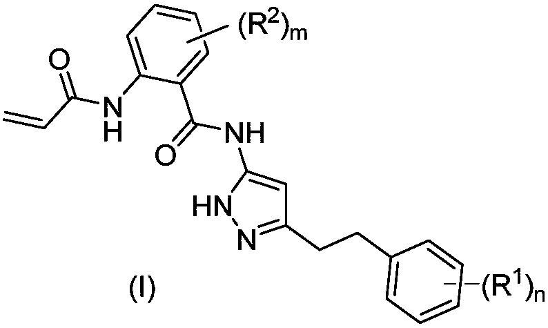 Amide group pyrazol compound used as FGFR irreversible inhibitor