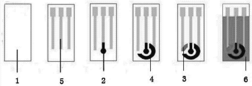 Sensitive membrane, screen-printed electrode containing sensitive membrane and application thereof