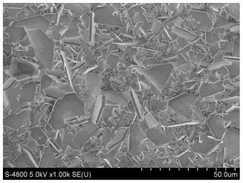 Preparation method of aqueous corrosion-resistant dendritic-crystal-free metal negative electrode